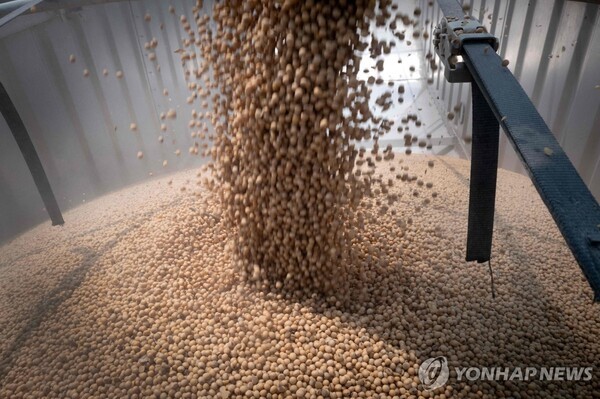 미국산 대두. @연합뉴스