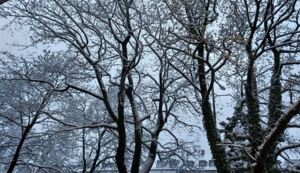 김서울의 독일편지, 머나먼 땅 또 다른 시간(3편)