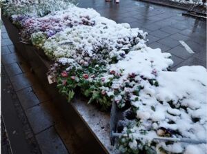 김서울의 독일편지, 머나먼 땅 또 다른 시간(4편)