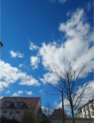 [김서울의 독일편지], 머나먼 땅 또 다른 시간(5편)