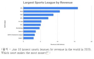 [김서울의 독일편지, 머나먼 땅 또 다른 시간 9편] 축구, 그깟 공놀이가 뭐라고!