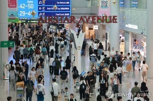 베트남 입국 거부, 100만원 손해본 경험